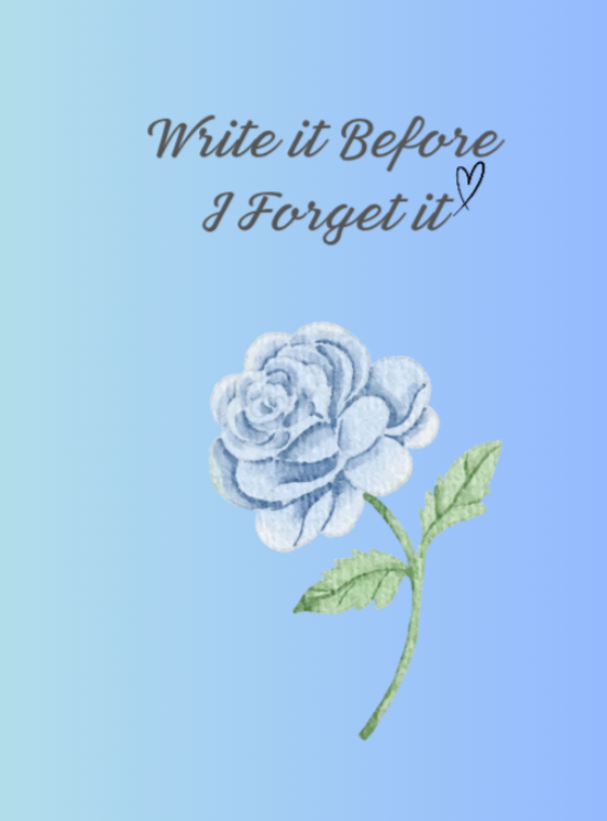 Write it Before I Forget it notebook